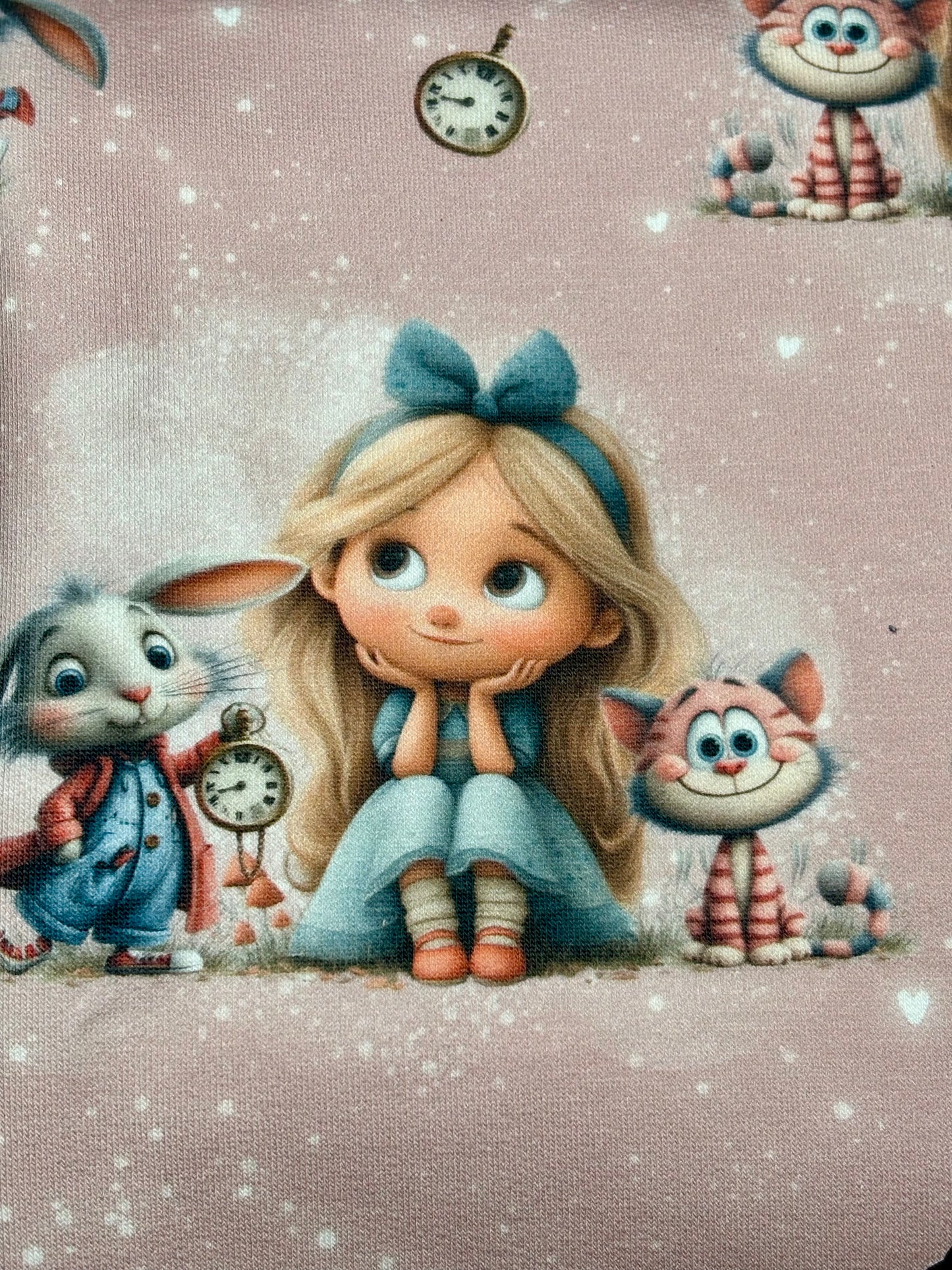 Jersey | Rib Jersey | French Terry "Mädchen im Wunderland"